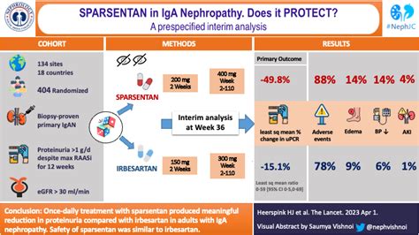 PROTECT study on Sparsentan in IgAN - Visual Abstract — NephJC