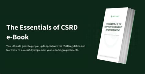 3 Easy Steps To Generate Your CSRD Report As A Company