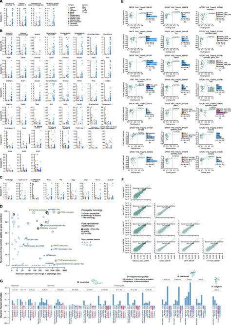 Stepwise Emergence Of The Neuronal Gene Expression Program In Early