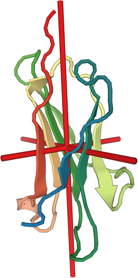 Molecular structure of beta-2 microglobulin (β2M). Depiction of the ...