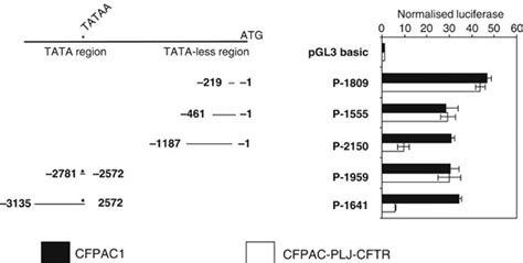 Transcriptional Activity Of Muc Promoter Deletion Mutants In Cfpac