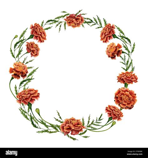 Wreath With Marigold Flowers With Green Leaves Arrangement Hand Drawn