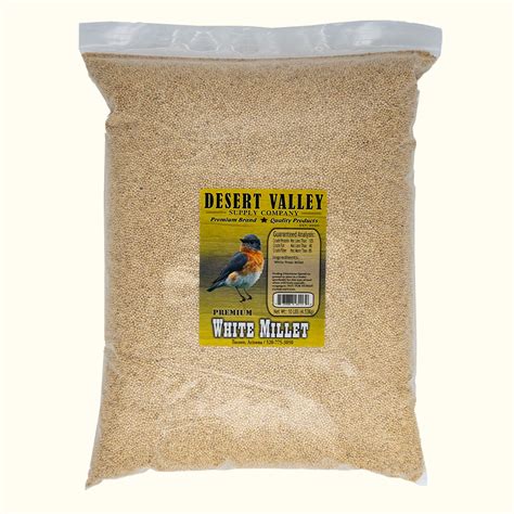 White Millet Bird Seed Perfect For Mixing