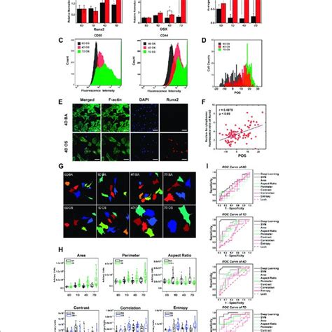 OCNN Highly Correlated With Conventional Biochemical Markers And