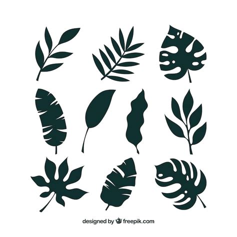 Premium Vector Tropical Leaf Collection With Silhouette Style