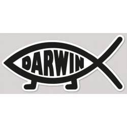 Darwin Fish Stickers, Decals & Bumper Stickers