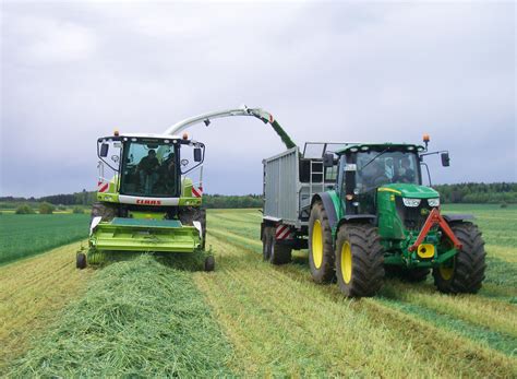 Auszug Performance Freut Mich Dich Kennenzulernen H Cksler F R Gras