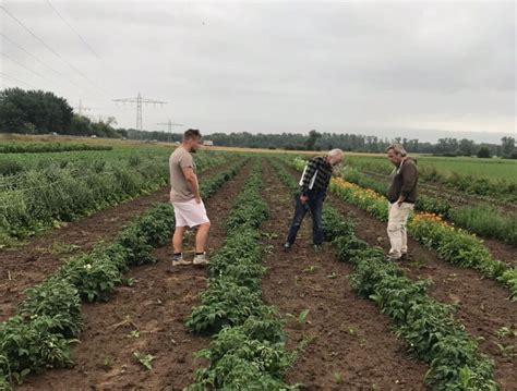 Gutsaat Ug Regionalwert Ag Freiburg S Dbaden