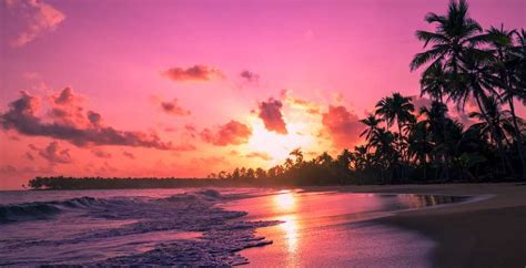 Uncover the Magic of Pink Sand Beach Bahamas Tours from Nassau