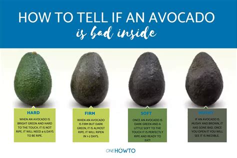 How To Check If An Avocado Is Ripe Warexamination