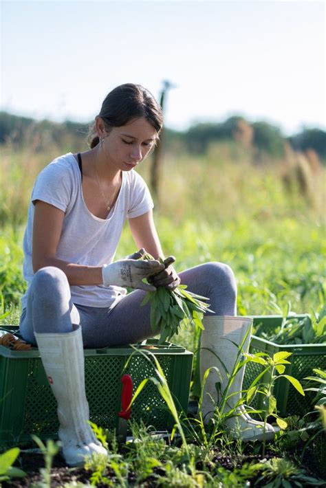 What Agroforestry Means And Why We Support It