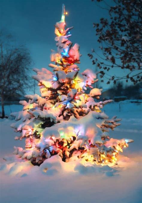 10 Natural Outdoor Christmas Tree Decorations Homemydesign Зимние