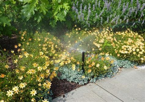 Sprinkler Projects for Residential & Commercial | See Our Work Here