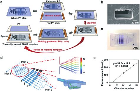 Illustration Of The Fabrication Process Of Whole Pp Microfluidic Chips