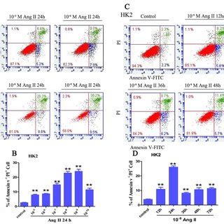 Detection Of Necrotic Tubular Epithelial Cells Using A Flow Cytometer