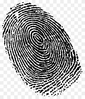 Fingerprint Forensic Science Live Scan Hand Criminal Spiral