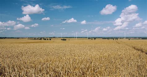 Agriculture Clouds Countryside Cropland Crops Farm Farmland