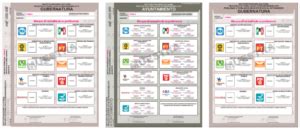 Aprueba Comisión Temporal de Seguimiento diseño de las boletas