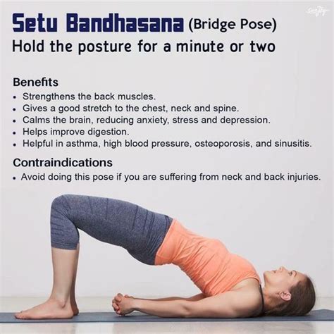 Bridge Yoga Pose Or Setu Bandhasana Yoga Is A Basic And Important Yoga