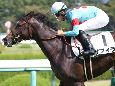 【阪神jf】サフィラにかかる史上初の快挙とは 全兄サリオスに続く2歳gi制覇なるか 競馬ニュース Netkeiba