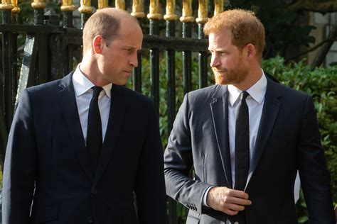 Prince Harry Showed ‘Anger’ Over ‘Tense’ Meeting With Prince William in ...