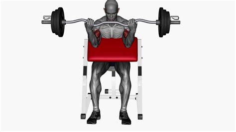 Master The Preacher Curl Ez Bar Wide Grip A Beginners Guide To