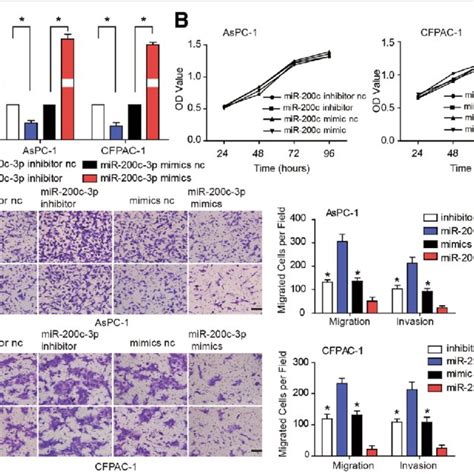 MiR 200c 3p Suppress Cell Migration And Invasion But Not Cell