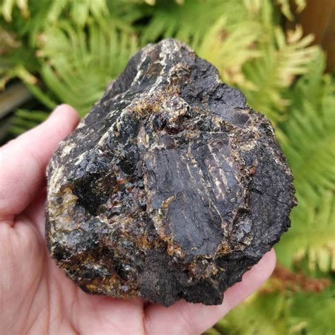 Rough Black Amber Specimen - Crystals of Atlantis