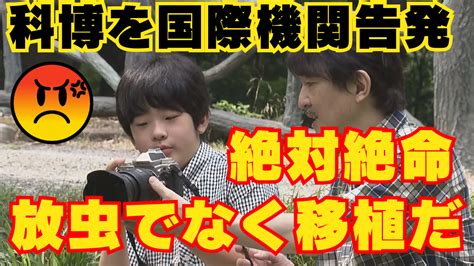 【悠仁さまトンボ論文に科博が無能返答で国際機関告発】放虫でなく移植ビオトープ失敗：チャットgptが鋭い指摘で爆笑！紀子さま東京大学へ絶対絶命