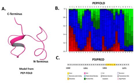 Sequence And Structure Based Analysis Of Spike C Terminal Cytoplasmic