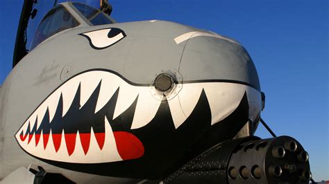 Why Do Military Aircraft Have Nose Art Decals?