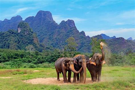 Elephant Hills Thailand Our Experience Review Tips Artofit