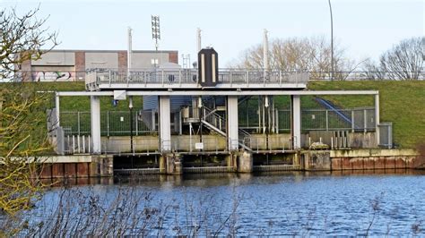 Umweltbehörde Hamburg Tatenberger Deichsiel soll zur Fischschleuse werden