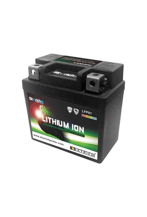 Batterie SKYRICH Lithium Ion LTKTM04L Sans Entretien