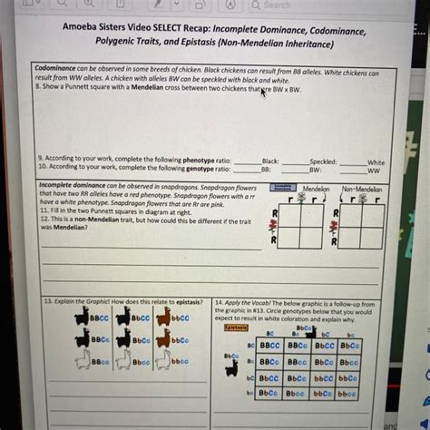 Amoeba Sisters Monohybrid Crosses Worksheet Answer Key Monohybrid Crosses Worksheets Teaching