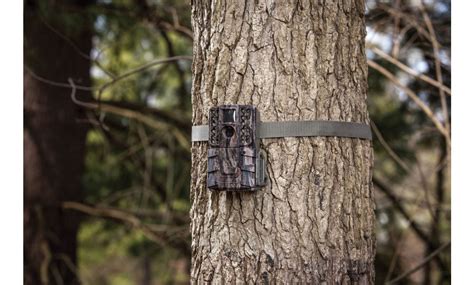 Why You Need The Top No Glow Infrared Trail Cameras Foreign Policy