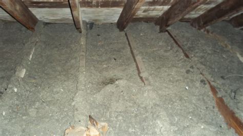 Attic Insulation - St Louis - Green Space Construction