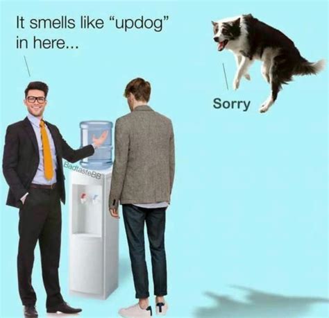 Up dog - Meme by Lone_wolf69 :) Memedroid