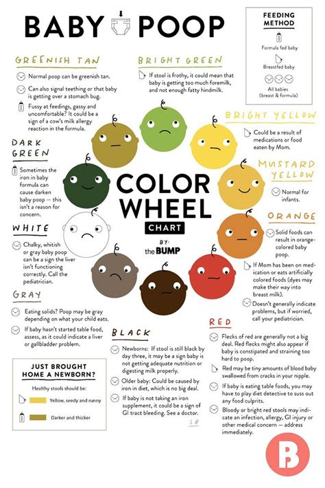 Cat Stool Color Chart