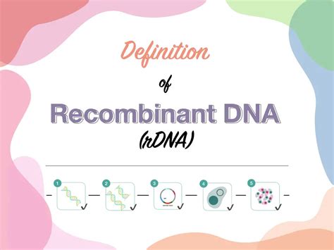 Definition Of Recombinant Dna Rdna Genetic Education