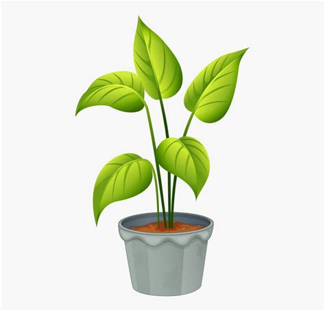 House Plant Clipart Transparent Plant clipart transparent vector ...