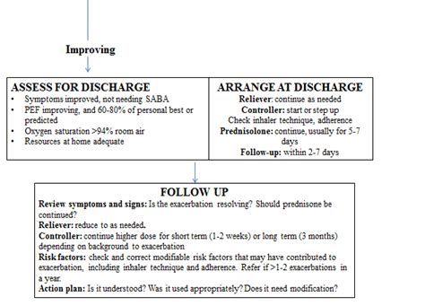 Global Initiative For Asthma Gina Recommendations For The Management