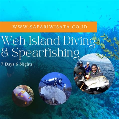 Aceh Pulau Weh Diving & Spearfishing 7 Days 6 Nights - SWI Diving Aceh ...