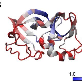 Mapping Of Sequence And Structural Similarity Into The Chew