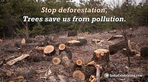 Slogans on Deforestation - Best and Catchy Deforestation Slogan