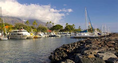 Lahaina Shores Beach Resort $185 ($̶2̶3̶7̶), 'EXCELLENT!' - UPDATED ...