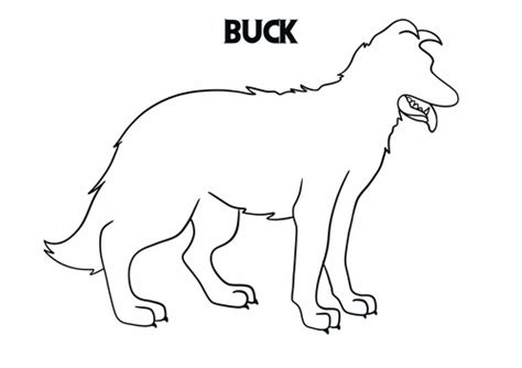 Buck - Call of the Wild Character Dog Outline | Teaching Resources