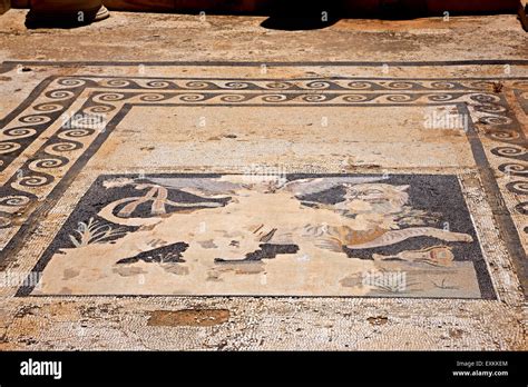 Mosaic In The House Of Dionysus In The Archaeological Site Of The