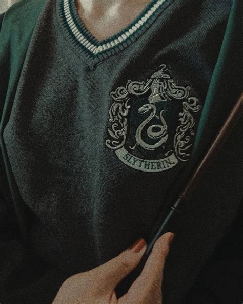 Pin De Fox Singular En Slytherin Slytherin De Moda