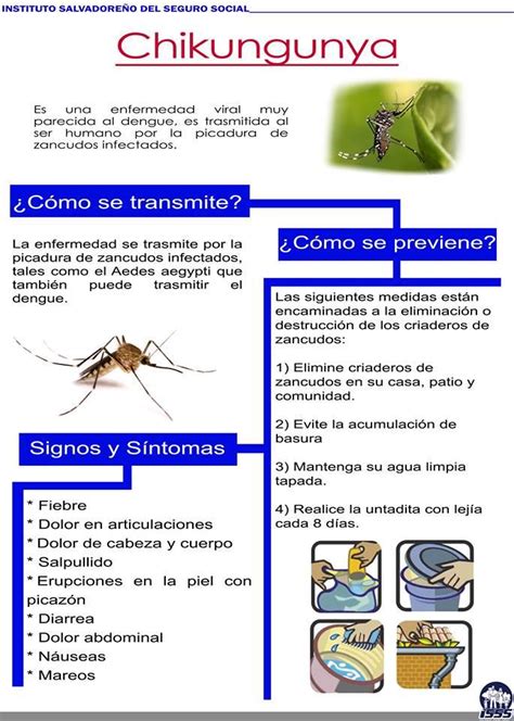 Isss On Twitter Conozca A Cerca Del Virus Chikungunya Como Se